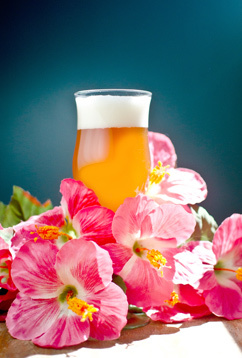 hibiscus-mango-main_post