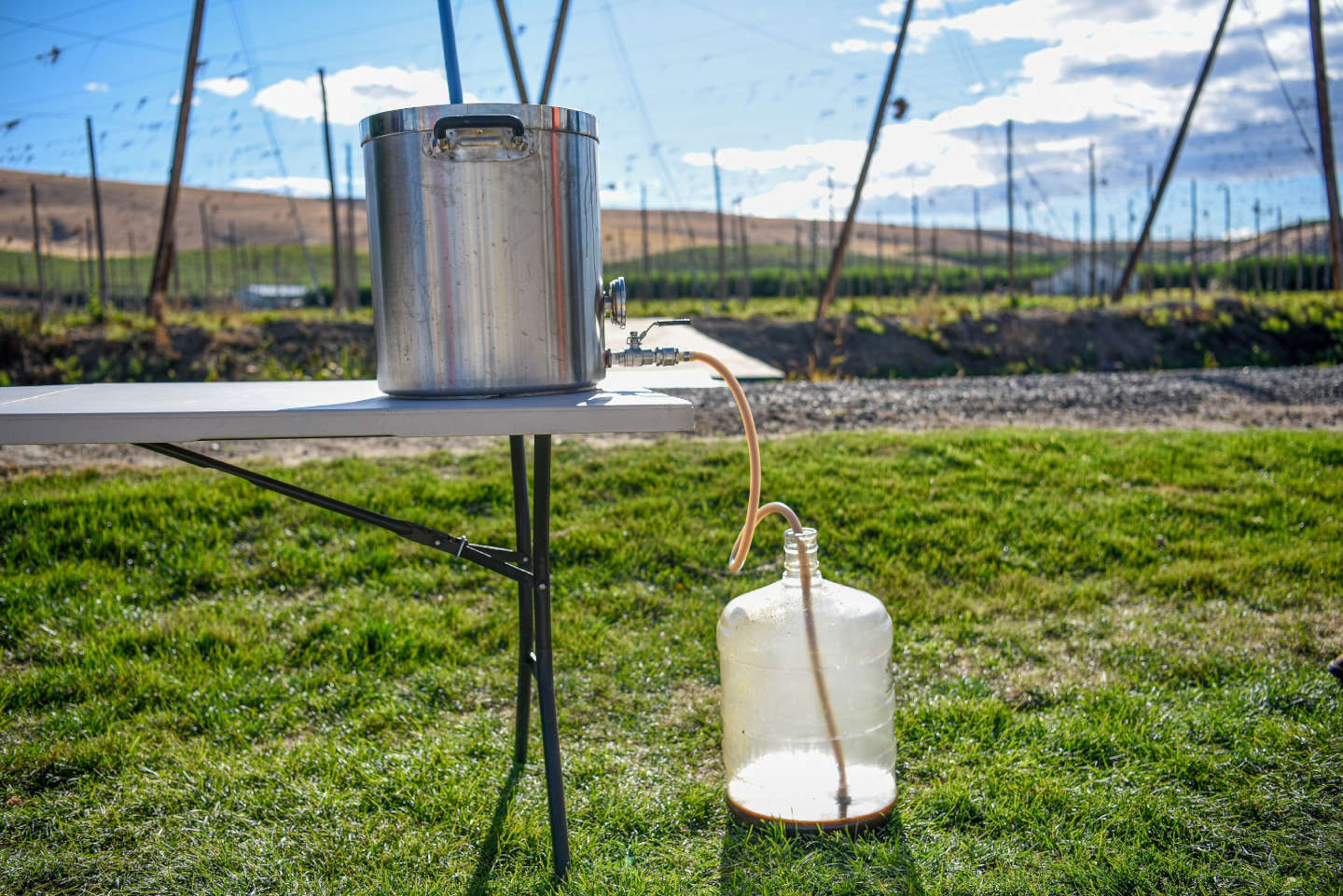 homebrewing lauter