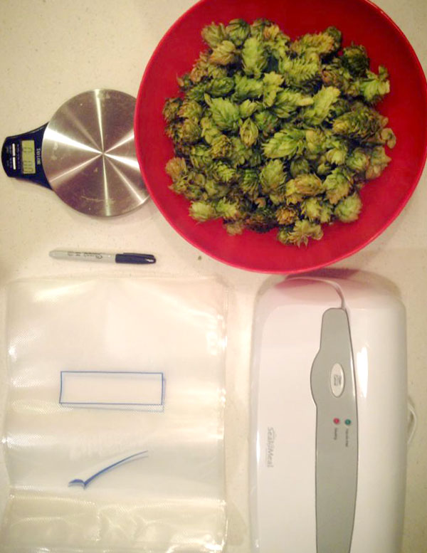 Hop Harvesting