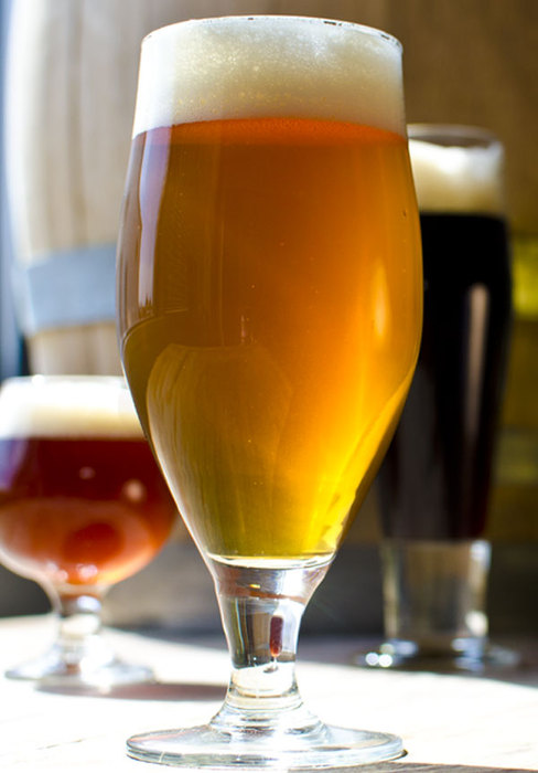 IPA Homebrew Recipe