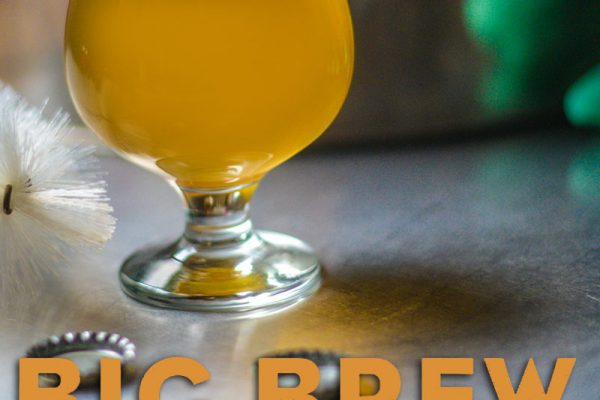 ginger ale homebrew recipe