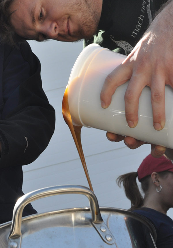 extract beer