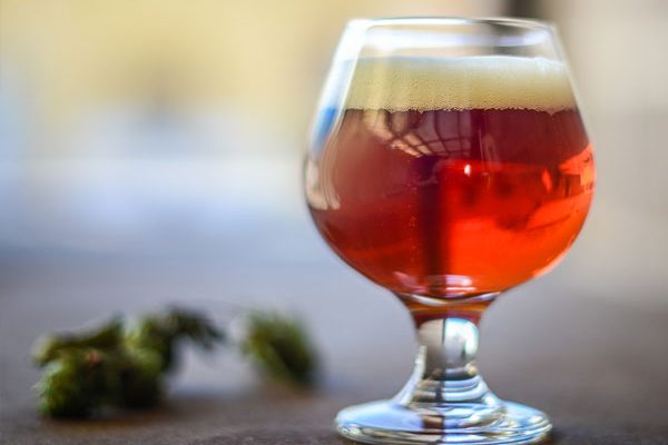 beer recipe