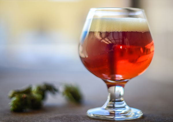 beer recipe