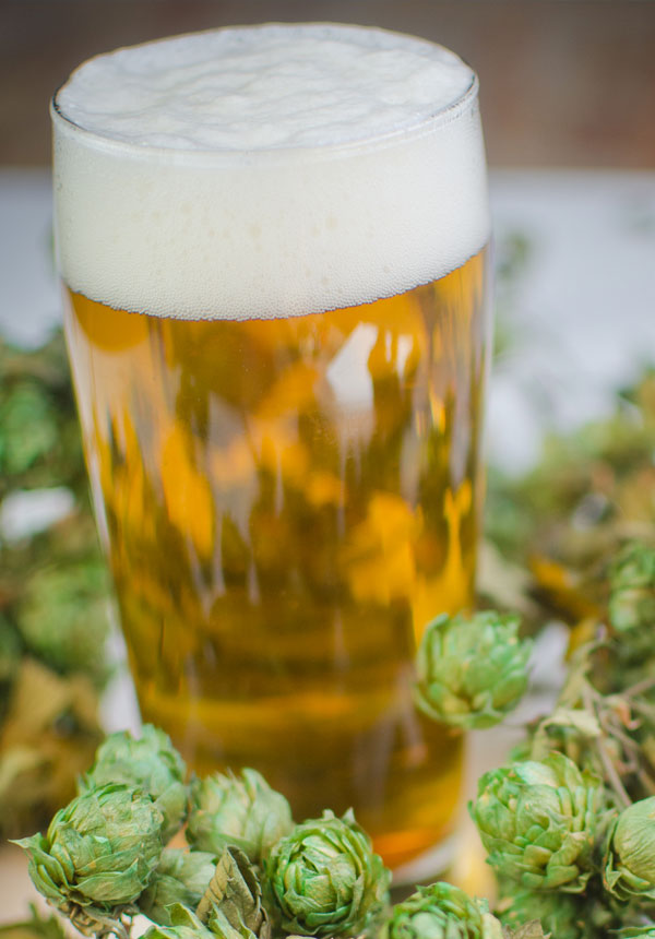The-Hop-Paradox-f