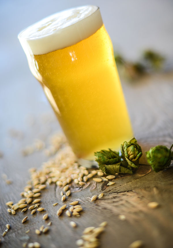 homebrewing-lager