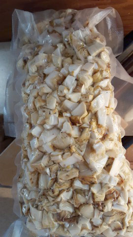 Brew Mushroom Beer