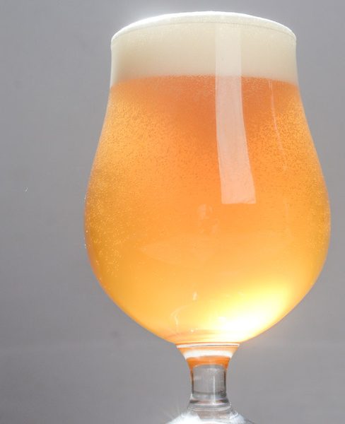 saison gabf pro am