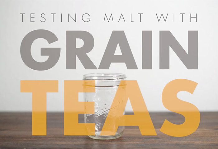 beer-grains