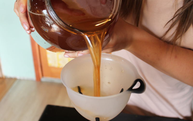 how-to-make-kombucha
