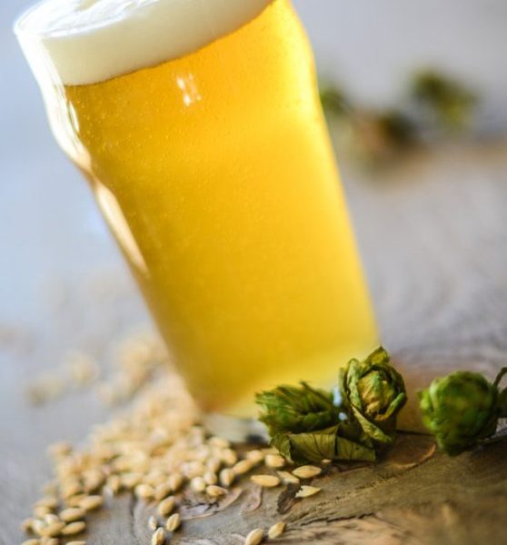 american-wheat-or-rye