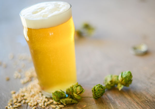 trivia-lager-2