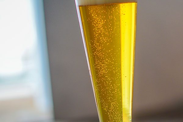 Pils_Feature