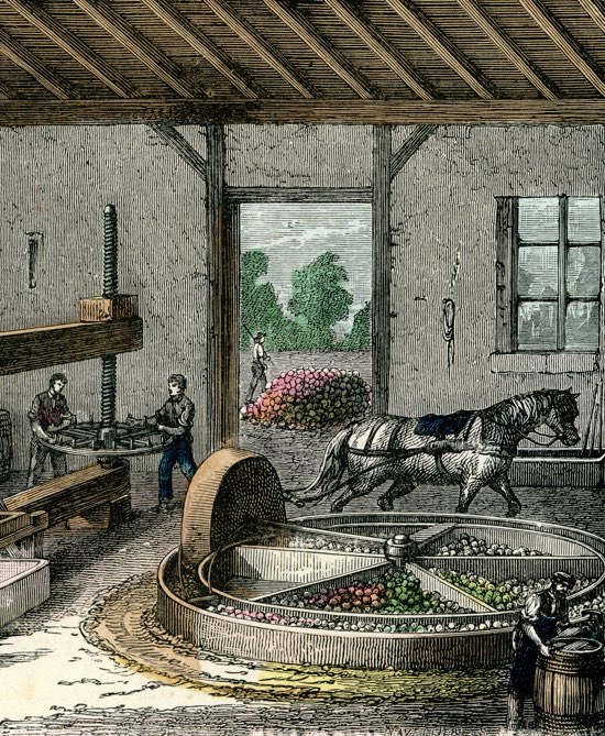history_cider