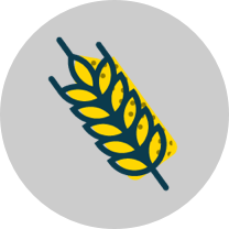 Malt Icon