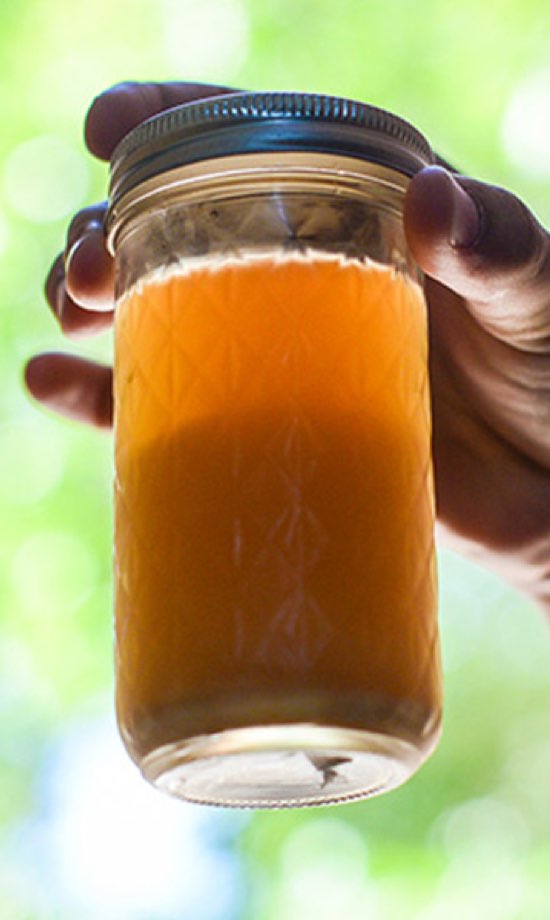 Yeast starter