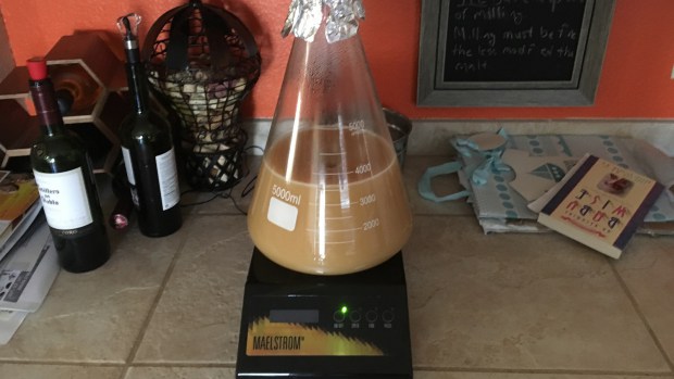 yeast starter malt comparison