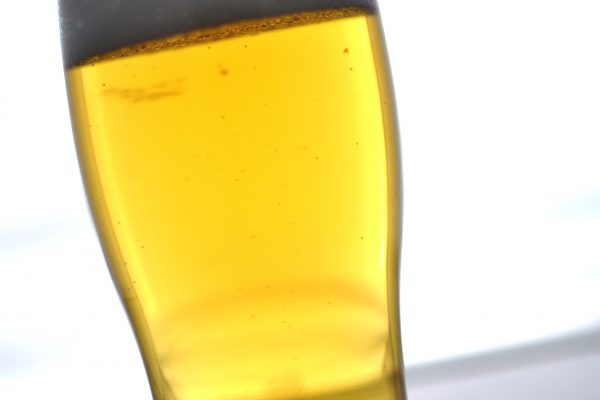 lager homebrew recipe
