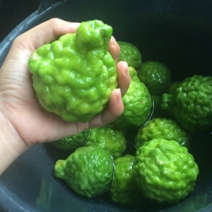 lime beer recipe