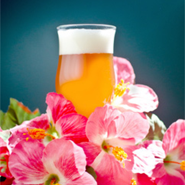 Mango-Blonde-Ale-Recipe