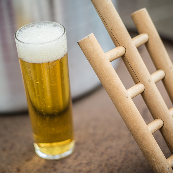 American pilsner recipe