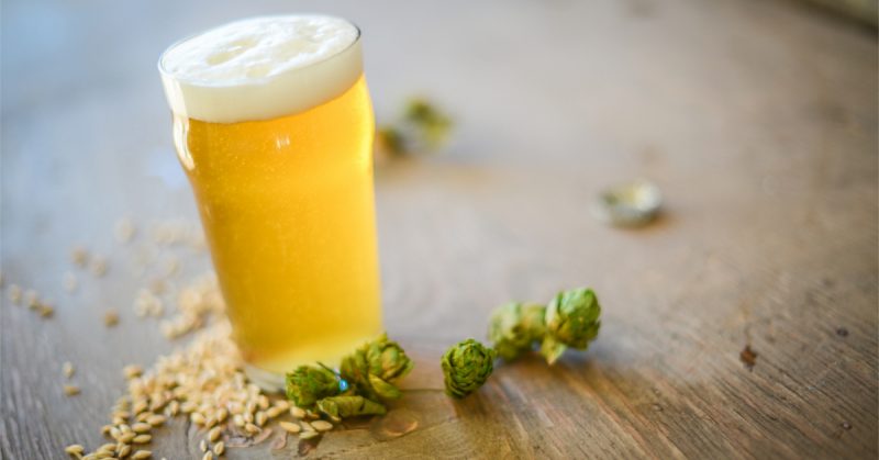 german pilsner lager around hops