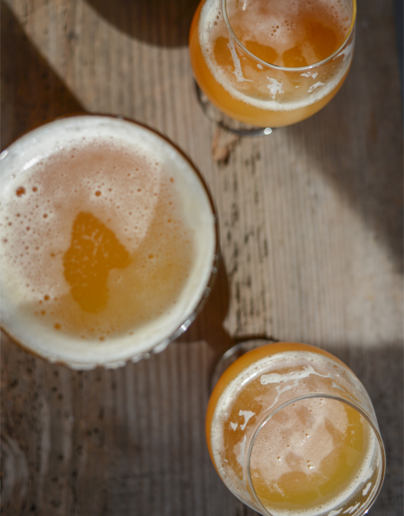 brut ipa style