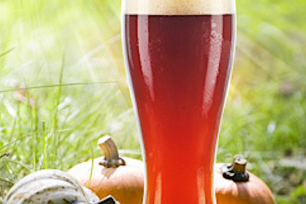 pumpkin-beer-recipe_600x600