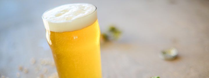 single blonde beer in imperial pint glass
