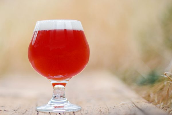 Carino Sour