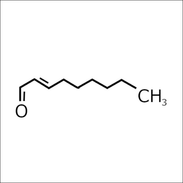 oxidation - Beer Off-Flavors