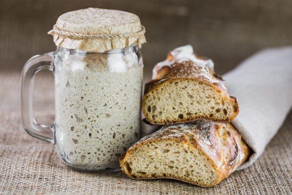 sourdough bread starter