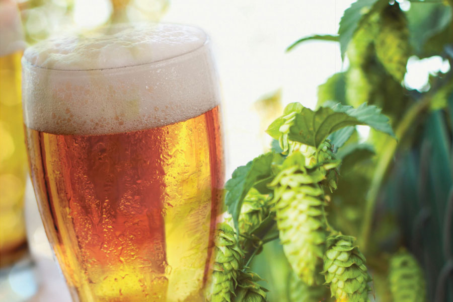 hop-forward-pilsners