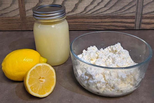 ricotta cheese