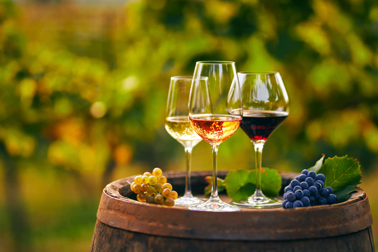 wine-1440