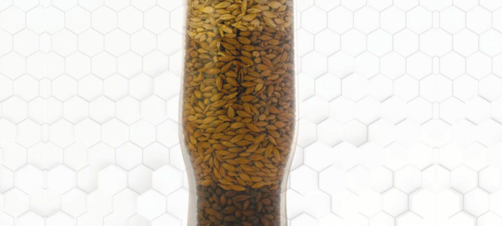 zymma17-malt