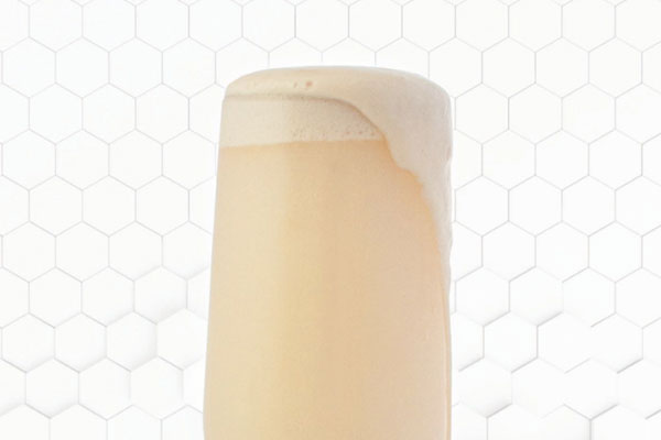 zymma17-yeast