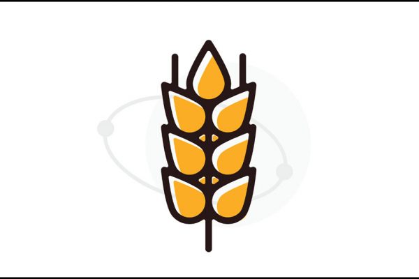zymma18-effects-barley-variety-terrior-feature