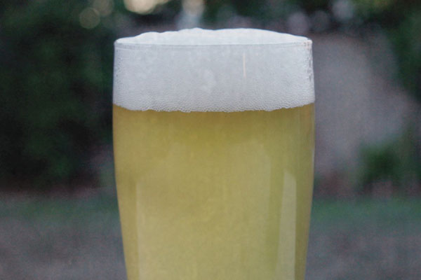 zymmj18-grisette-600x400-1
