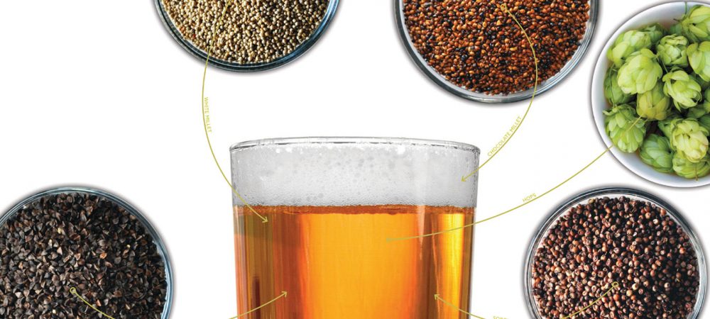 zymnd17-gluten-free-homebrew-feature