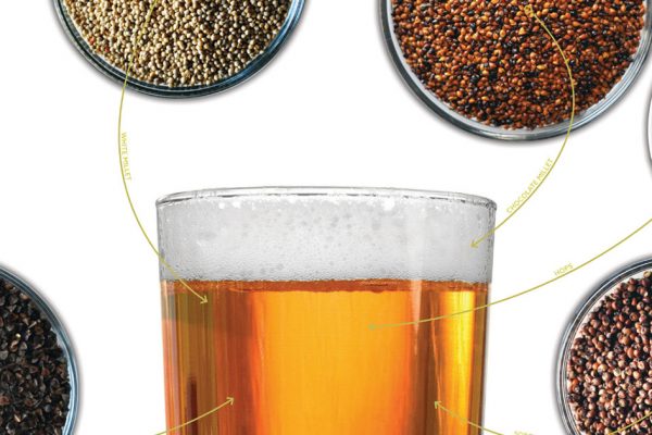 zymnd17-gluten-free-homebrew-feature