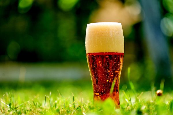 vienna-lager