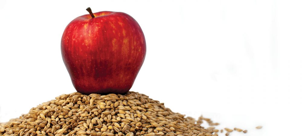 zymma16-malted-cider