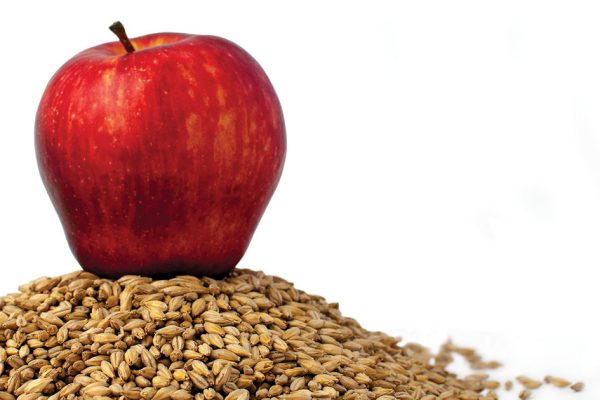 zymma16-malted-cider