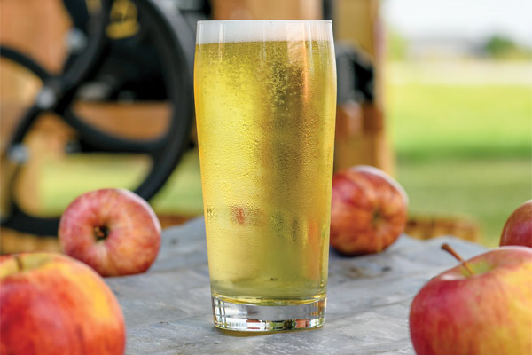 fermented cider