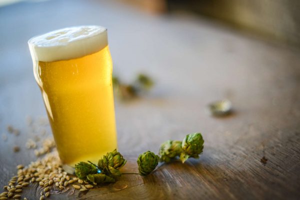 pale-light-lager-pils-1440