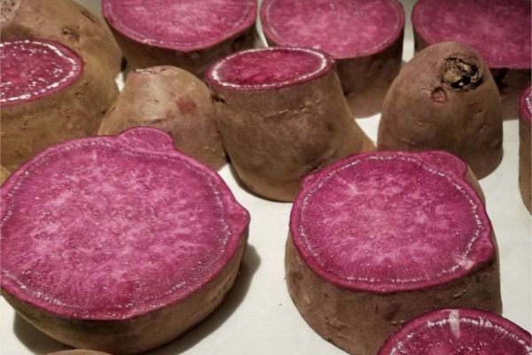 ube-beer-1440