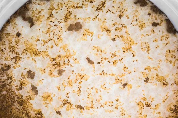beer krausen during fermentation