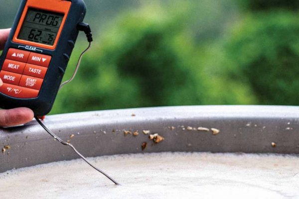 mash temperature
