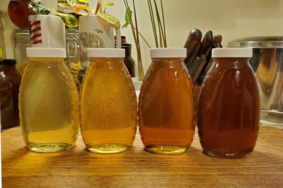 How to get into beekeeping for brewers